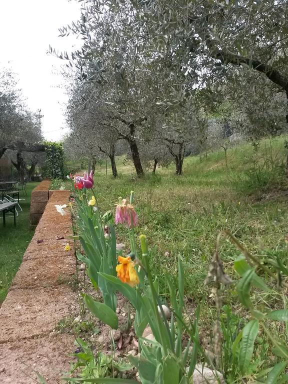 Agriturismo Camparella Пастренго Экстерьер фото