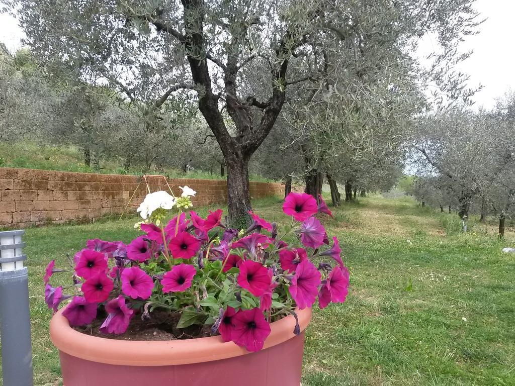 Agriturismo Camparella Пастренго Экстерьер фото